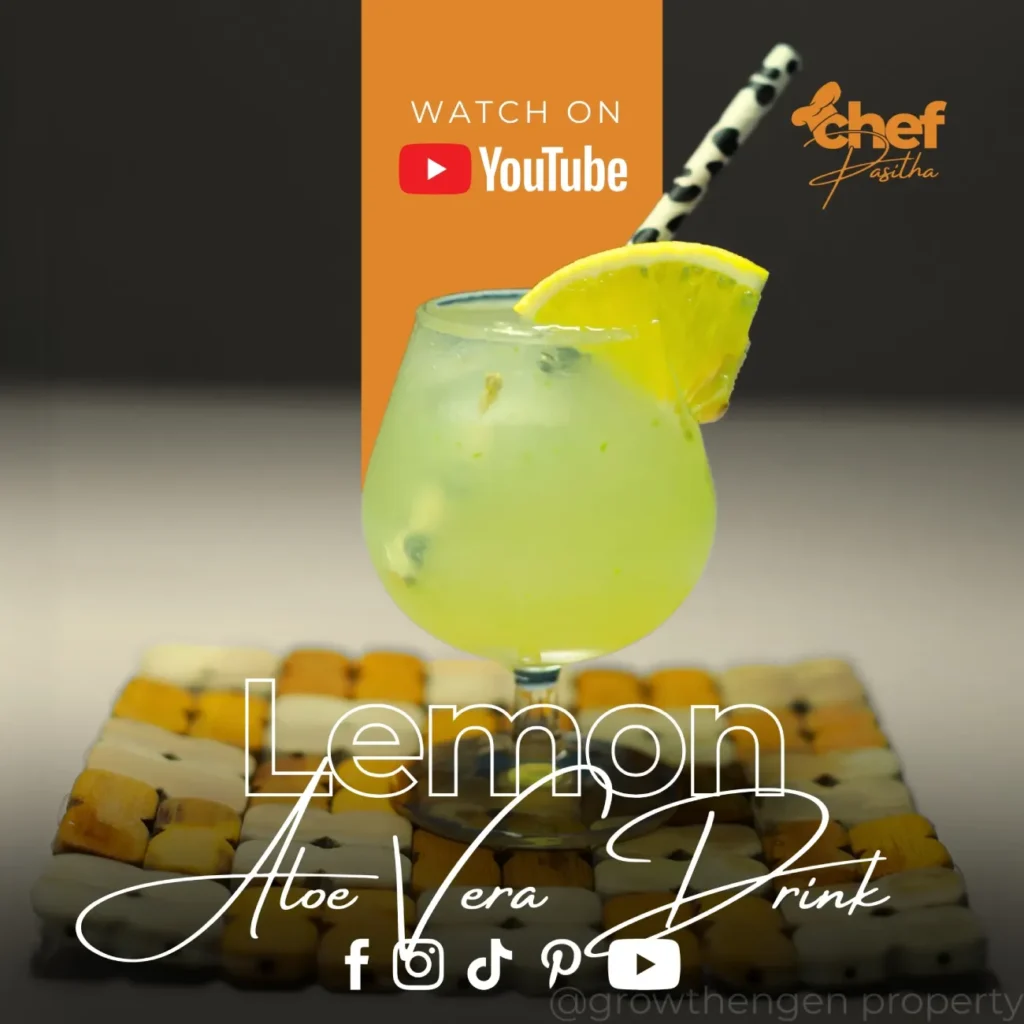 Lemon Aloe Vera Drink (1)